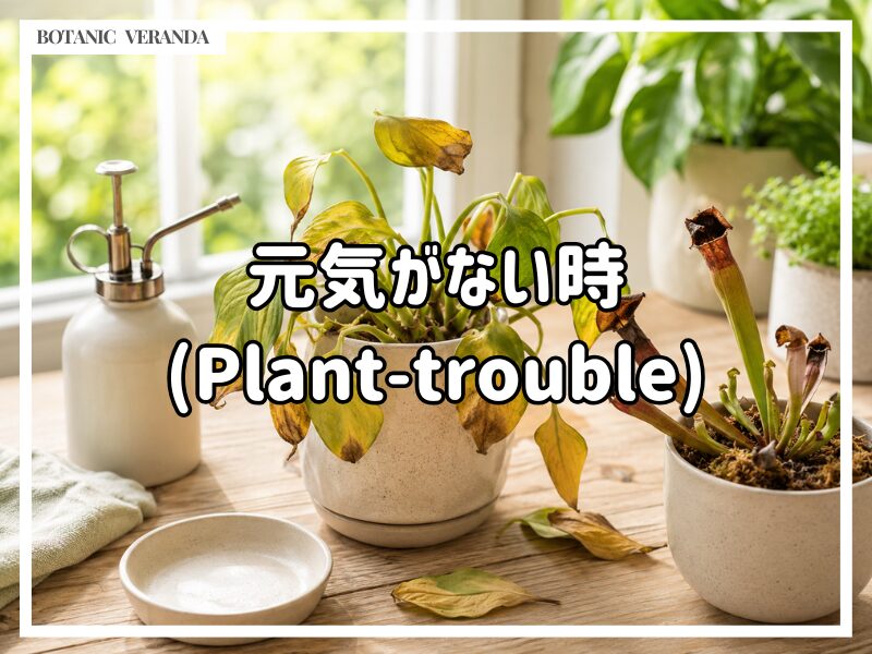 枯れ、トラブル対応