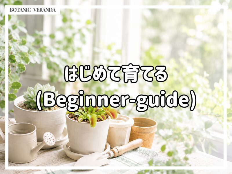 はじめて育てる方